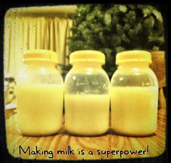 IMG_0987 Making milk is a superpower! Lactation Cookies